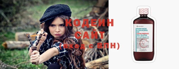молекула духа Козловка