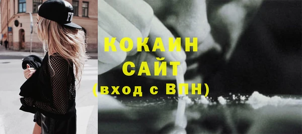 молекула духа Козловка