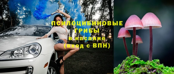 молекула духа Козловка