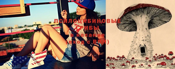 молекула духа Козловка
