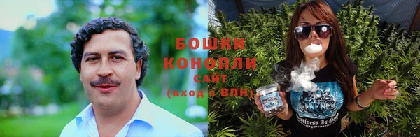 молекула духа Козловка