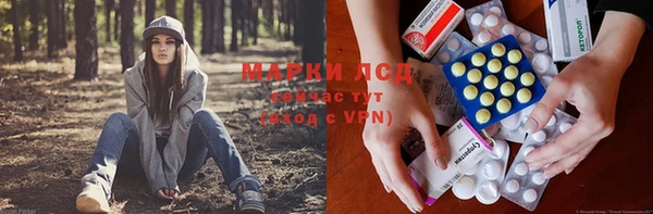 молекула духа Козловка