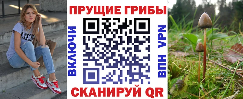 ОМГ ОМГ как войти  Кедровый  Галлюциногенные грибы мицелий 
