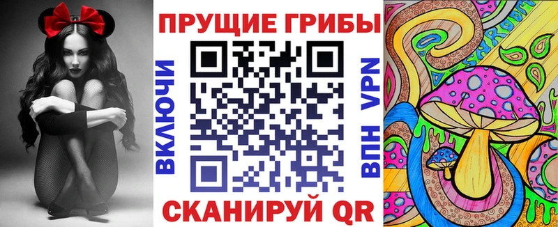 Псилоцибиновые грибы Cubensis Кедровый